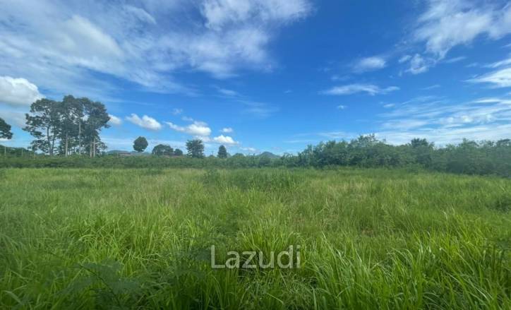 Beautiful Land for Sale in Huai Yai Area