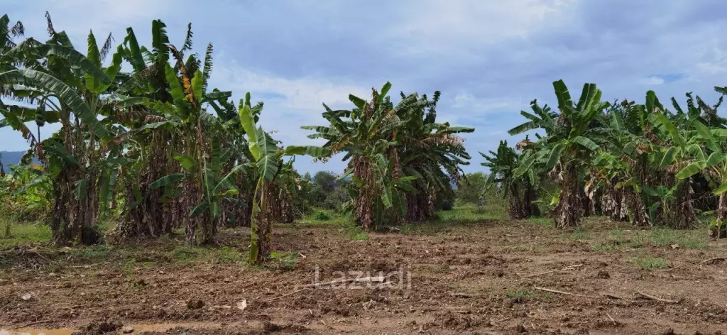 Beautiful Land for Sale in Bang Saray