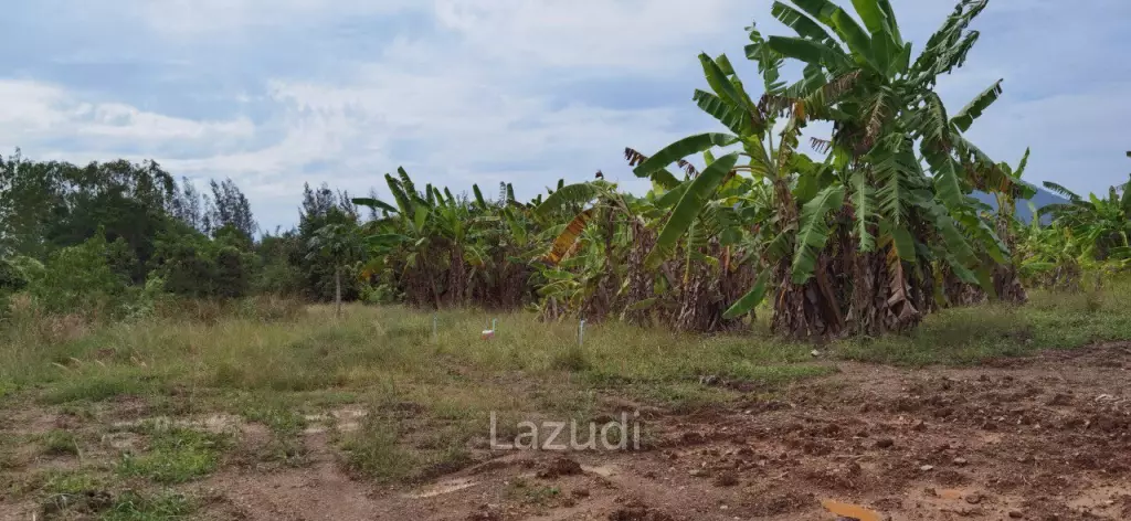 Beautiful Land for Sale in Bang Saray