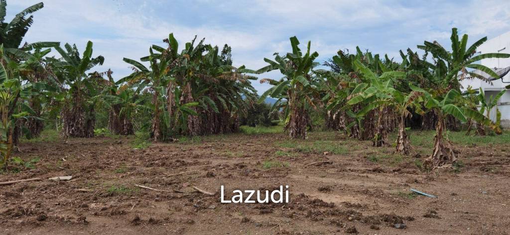 Beautiful Land for Sale in Bang Saray