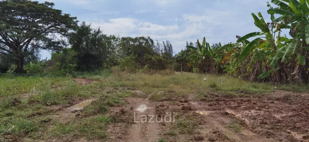 Beautiful Land for Sale in Bang Saray