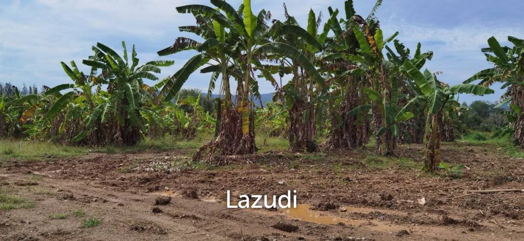 Beautiful Land for Sale in Bang Saray