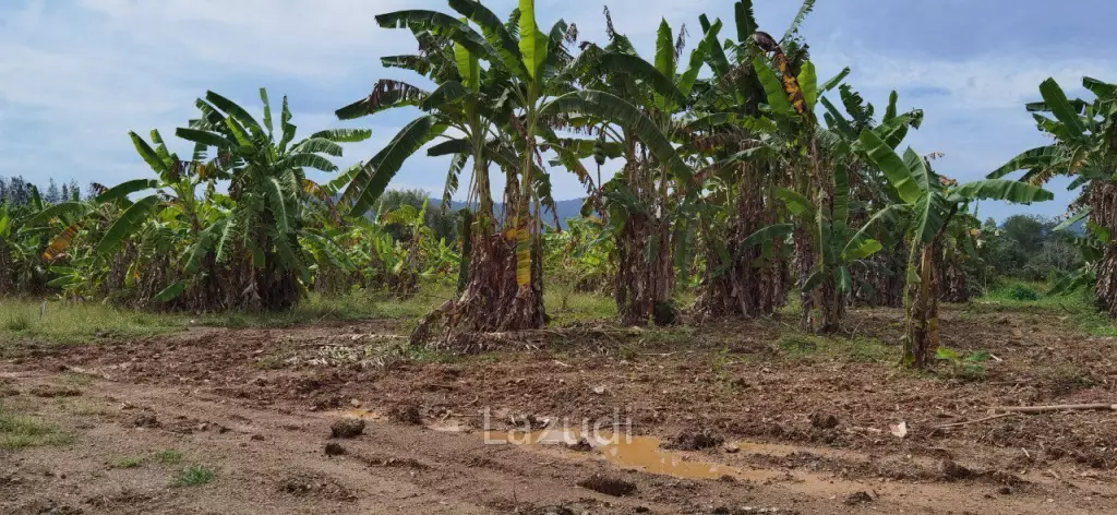 Beautiful Land for Sale in Bang Saray
