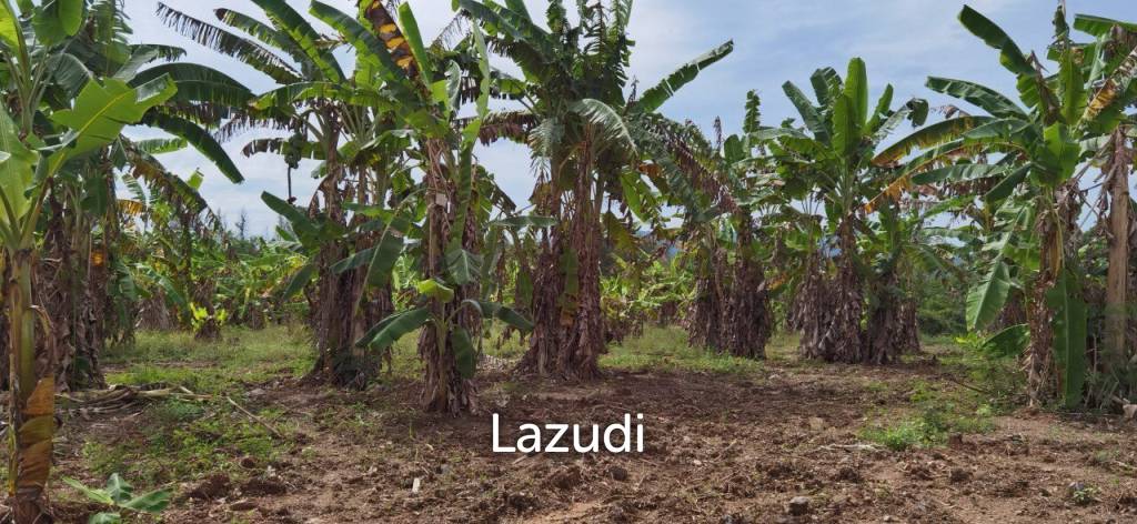 Beautiful Land for Sale in Bang Saray