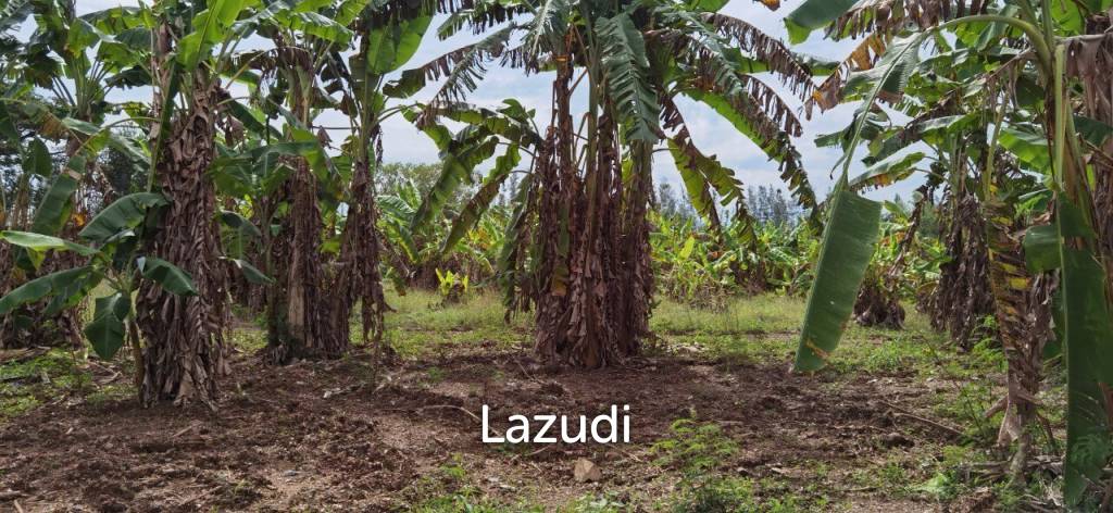 Beautiful Land for Sale in Bang Saray