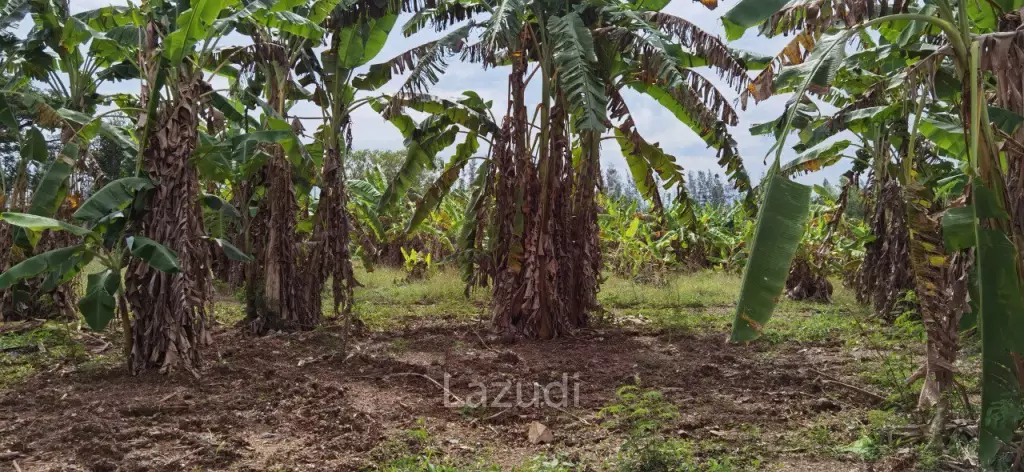 Beautiful Land for Sale in Bang Saray