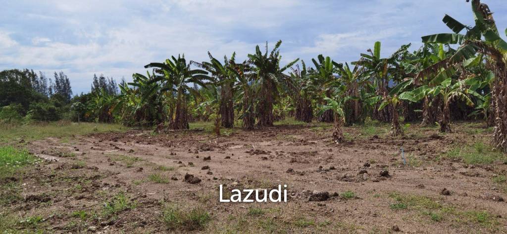 Beautiful Land for Sale in Bang Saray