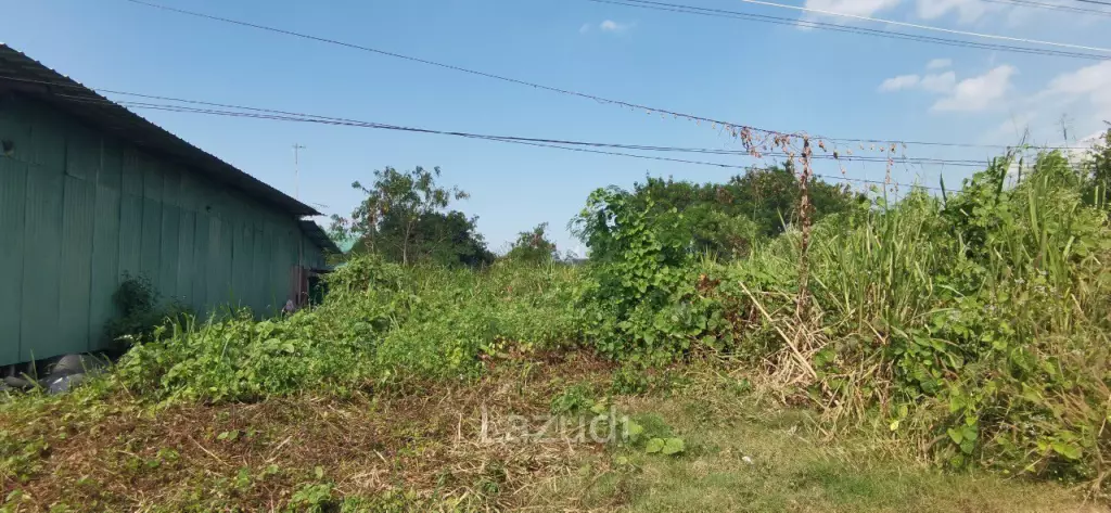Land for Sale in Bang Saray
