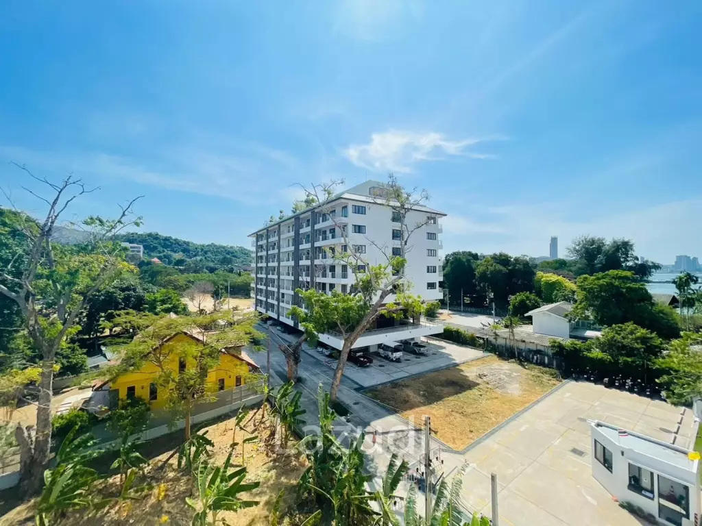 Beachfront Golden Coast for Sale