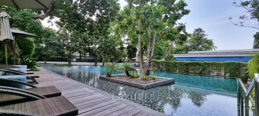 1 Bedroom 1 Bathroom 49 SQ.M Zire Wongamat