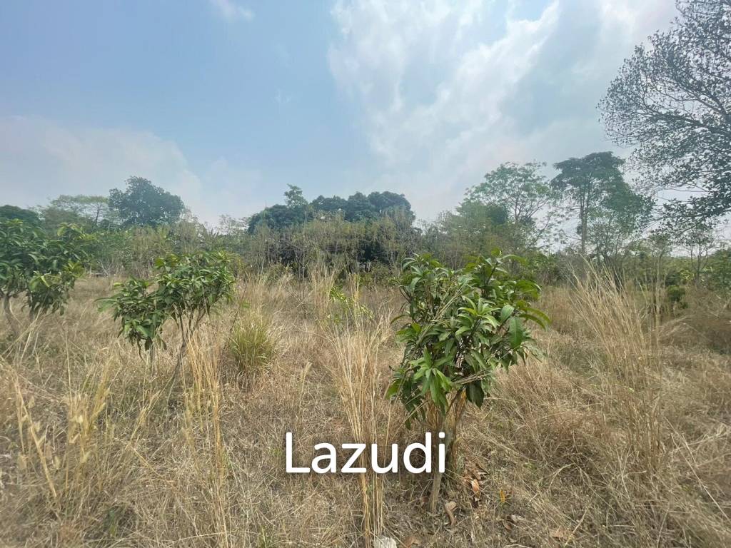 6Rai Land for Sale in Khao Ma Kok