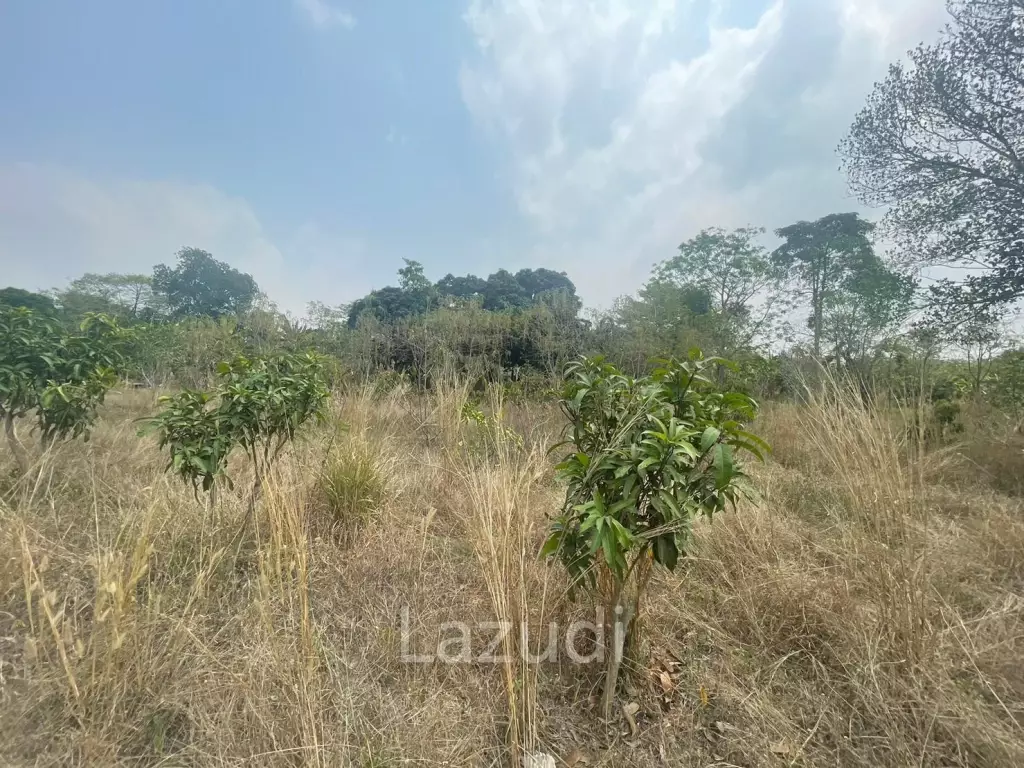 6Rai Land for Sale in Khao Ma Kok