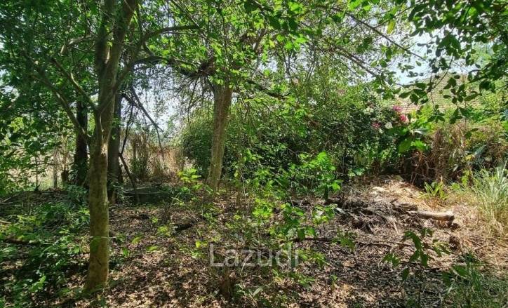 Beautiful 1.5 Rai Land for Sale