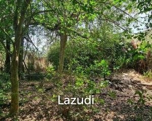 Beautiful 1.5 Rai Land for Sale
