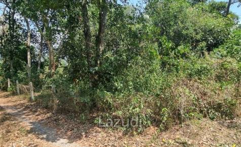 Beautiful 1.5 Rai Land for Sale