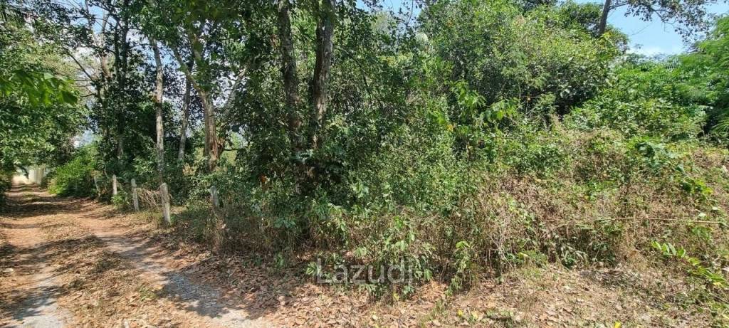 Beautiful 1.5 Rai Land for Sale