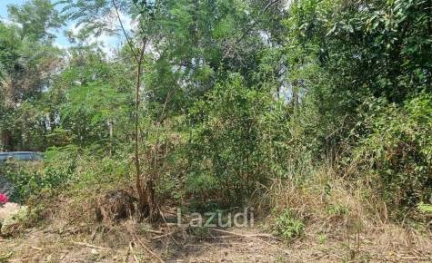 Beautiful 1.5 Rai Land for Sale