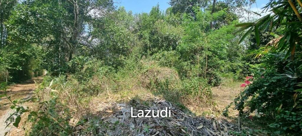 Beautiful 1.5 Rai Land for Sale
