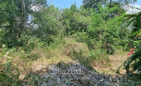 Beautiful 1.5 Rai Land for Sale