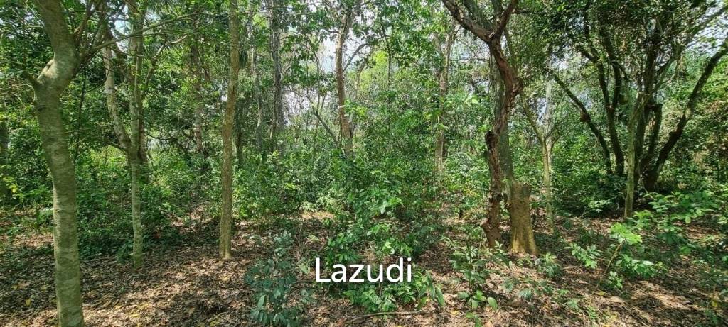 Beautiful 1.5 Rai Land for Sale
