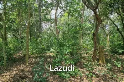 Beautiful 1.5 Rai Land for Sale