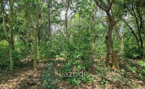 Beautiful 1.5 Rai Land for Sale