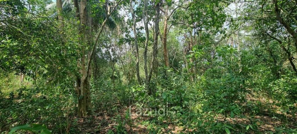 Beautiful 1.5 Rai Land for Sale