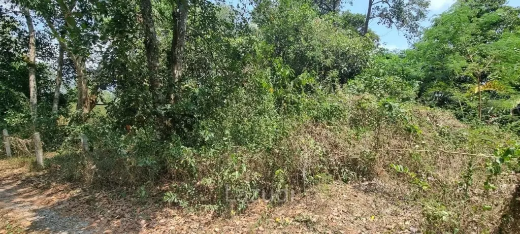 Beautiful 1.5 Rai Land for Sale