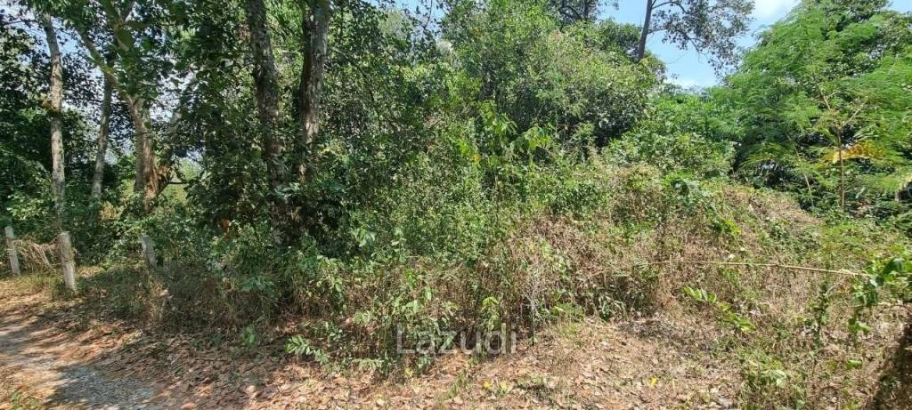 Beautiful 1.5 Rai Land for Sale