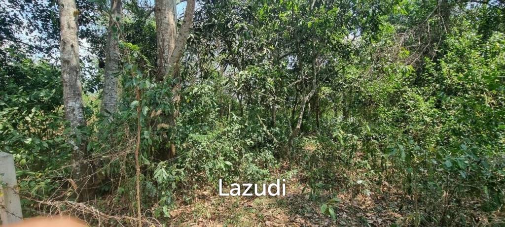 Beautiful 1.5 Rai Land for Sale
