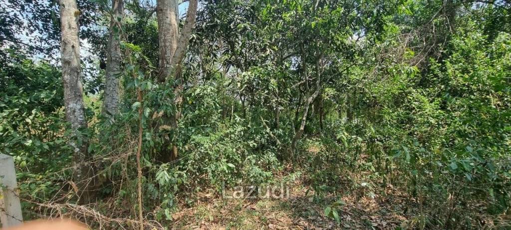 Beautiful 1.5 Rai Land for Sale