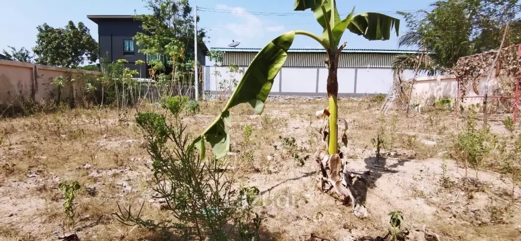 Great Land Plot for Sale in Bangsaray