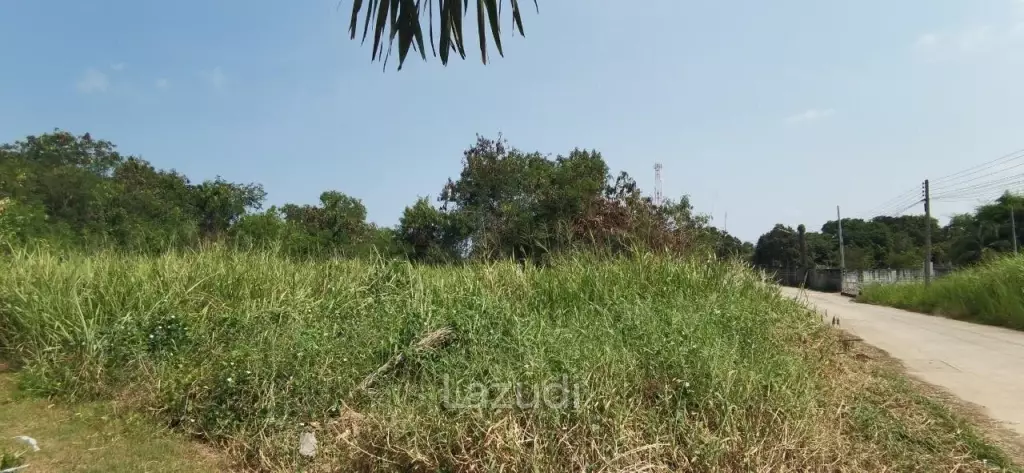 Beach Side Land for Sale in Bangsaray