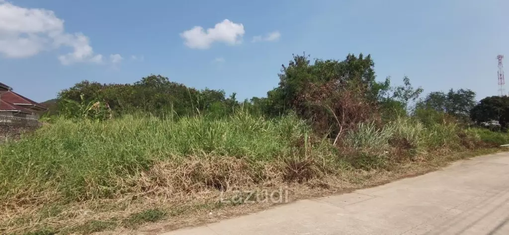 Beach Side Land for Sale in Bangsaray