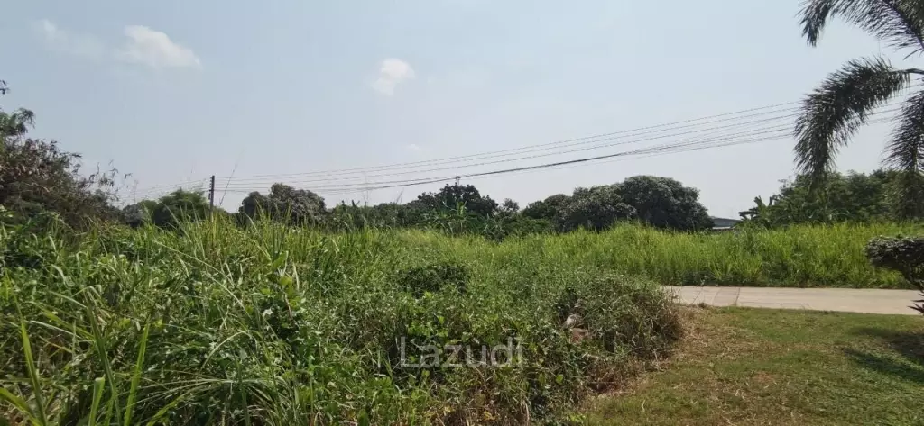 Beach Side Land for Sale in Bangsaray