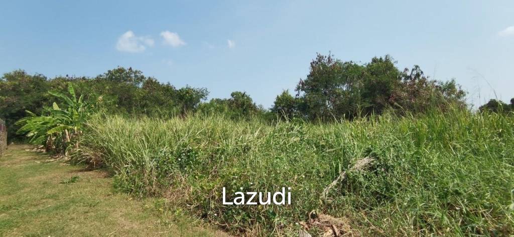 Beach Side Land for Sale in Bangsaray