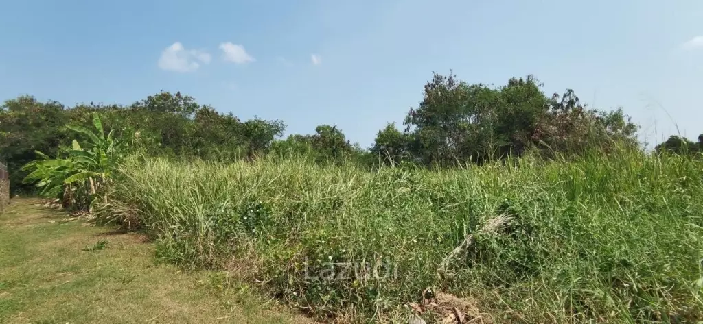 Beach Side Land for Sale in Bangsaray