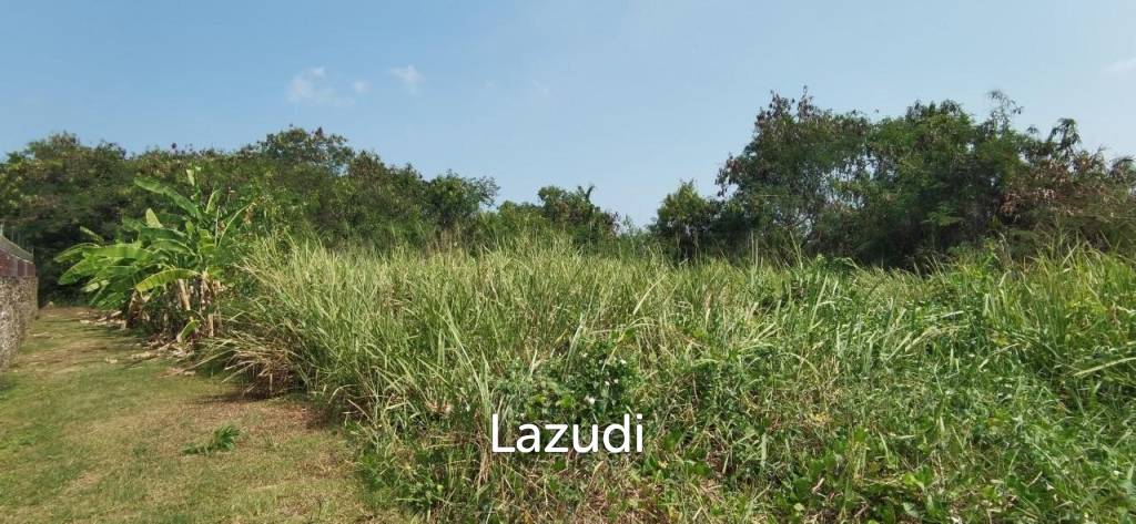 Beach Side Land for Sale in Bangsaray