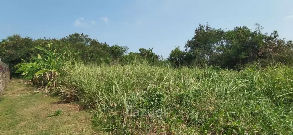 Beach Side Land for Sale in Bangsaray