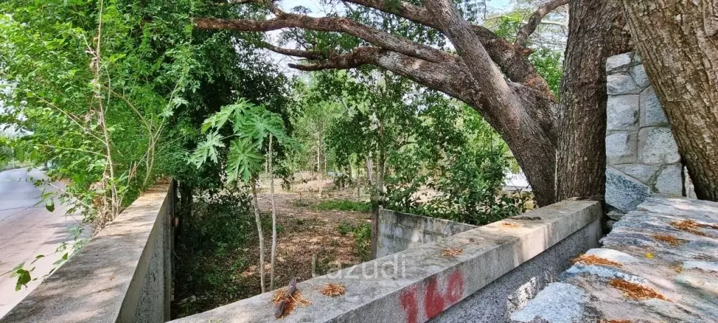 Great Land for Sale in Pong