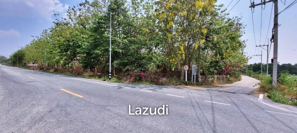 Great Land for Sale in Pong