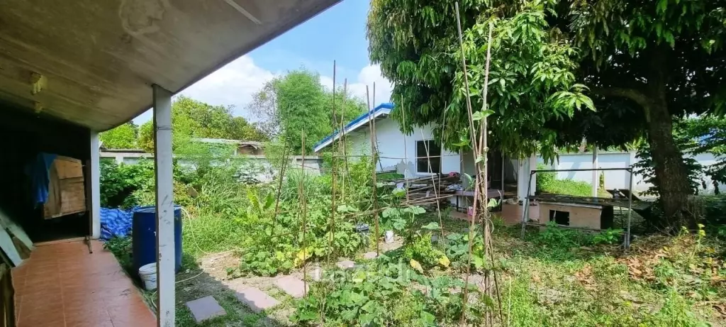 Building and Land for Sale at Huay Yai