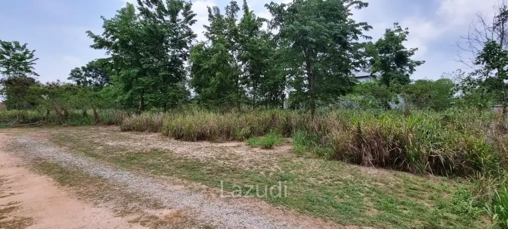 1Rai Land for Sale in Bangsaray