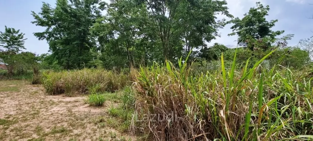 1Rai Land for Sale in Bangsaray