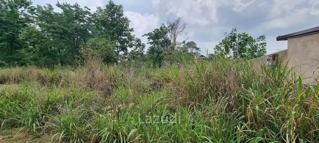 1Rai Land for Sale in Bangsaray