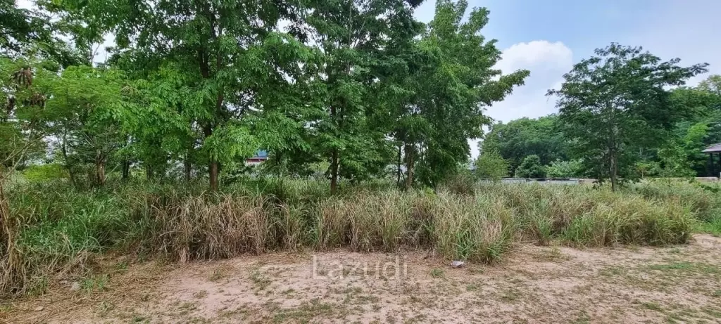 1Rai Land for Sale in Bangsaray