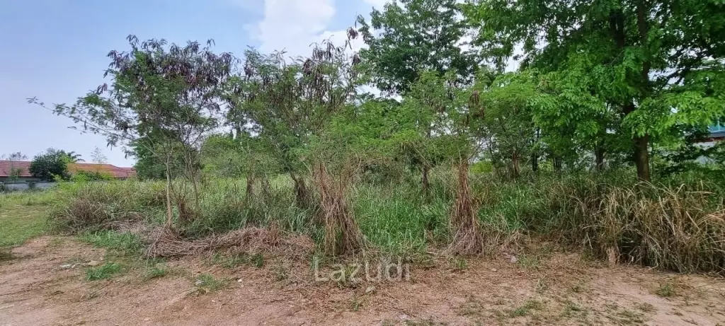 Beautiful Land plot for Sale in Bangsaray