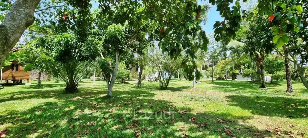 Pong House with Large Garden for Sale