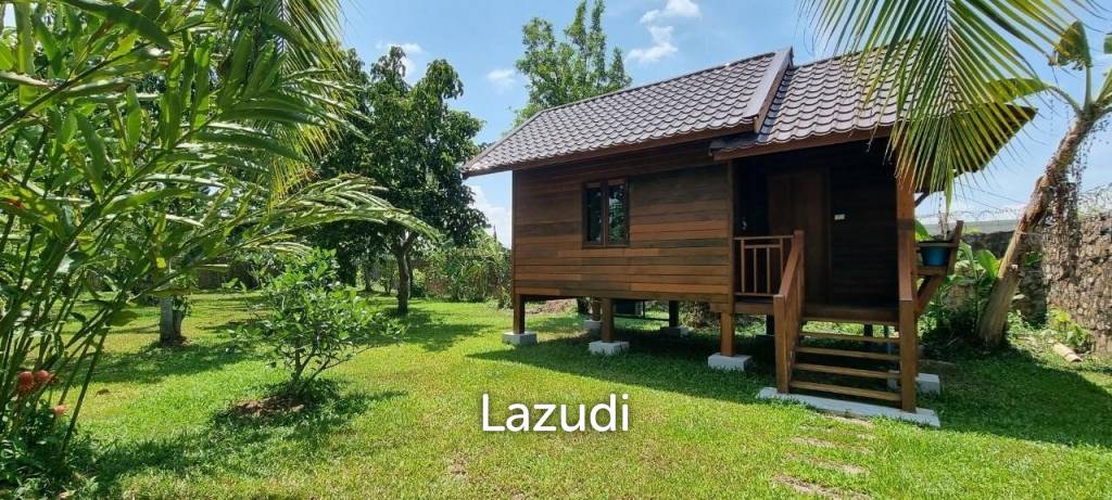 Pong House with Large Garden for Sale