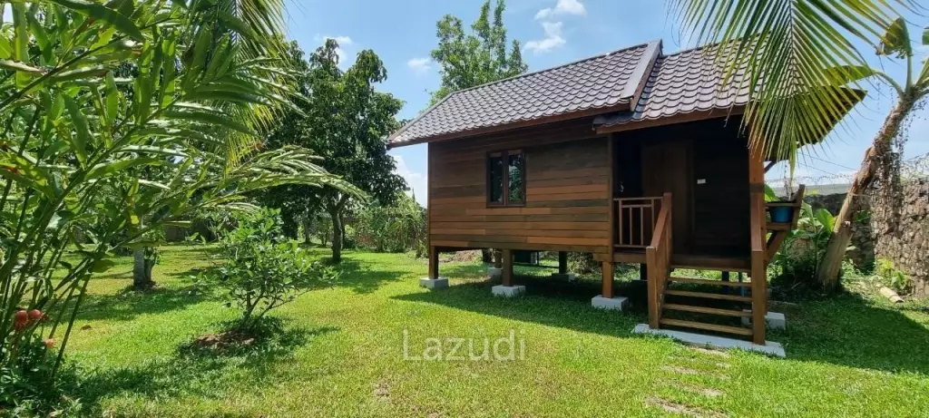 Pong House with Large Garden for Sale